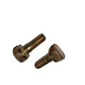 Engine Parts Cylinder Head Exhaust Port Screw